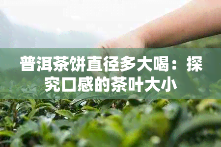 普洱茶饼直径多大喝：探究口感的茶叶大小