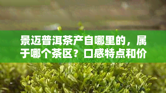 景迈普洱茶产自哪里的，属于哪个茶区？口感特点和价格是多少？