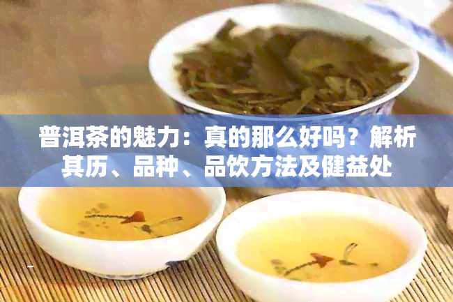 普洱茶的魅力：真的那么好吗？解析其历、品种、品饮方法及健益处