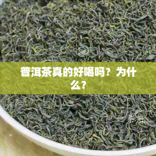 普洱茶真的好喝吗？为什么？