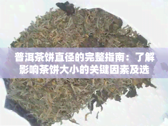 普洱茶饼直径的完整指南：了解影响茶饼大小的关键因素及选购建议