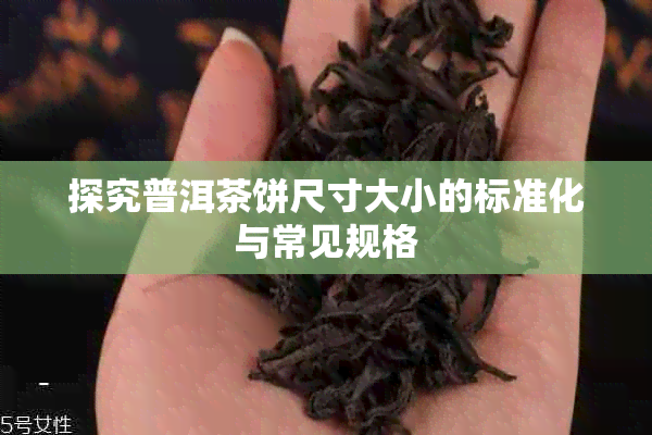 探究普洱茶饼尺寸大小的标准化与常见规格