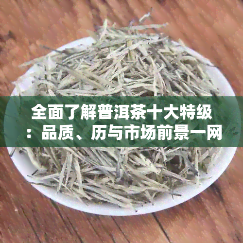 全面了解普洱茶十大特级：品质、历与市场前景一网打尽