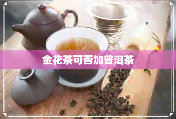 金花茶可否加普洱茶