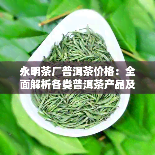 永明茶厂普洱茶价格：全面解析各类普洱茶产品及其市场价，助您轻松选购