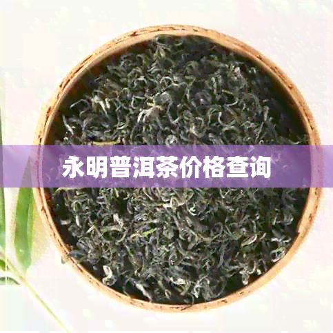 永明普洱茶价格查询