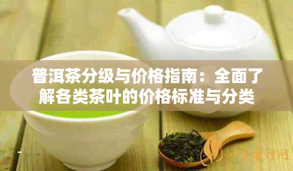 普洱茶分级与价格指南：全面了解各类茶叶的价格标准与分类