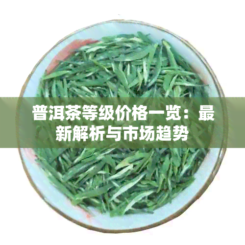 普洱茶等级价格一览：最新解析与市场趋势