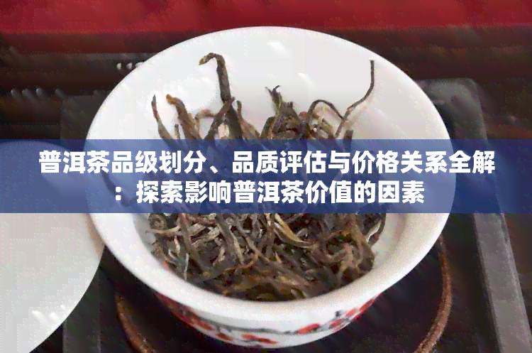 普洱茶品级划分、品质评估与价格关系全解：探索影响普洱茶价值的因素