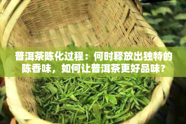 普洱茶陈化过程：何时释放出独特的陈香味，如何让普洱茶更好品味？