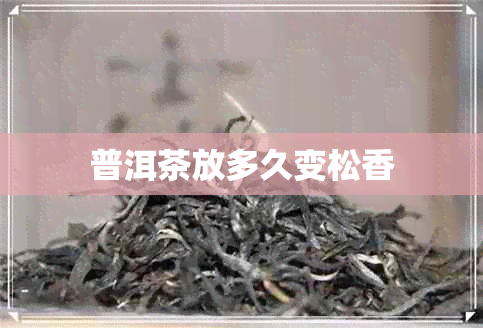 普洱茶放多久变松香