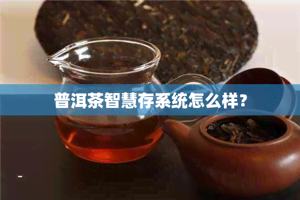 普洱茶智慧存系统怎么样？