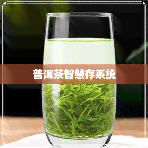 普洱茶智慧存系统