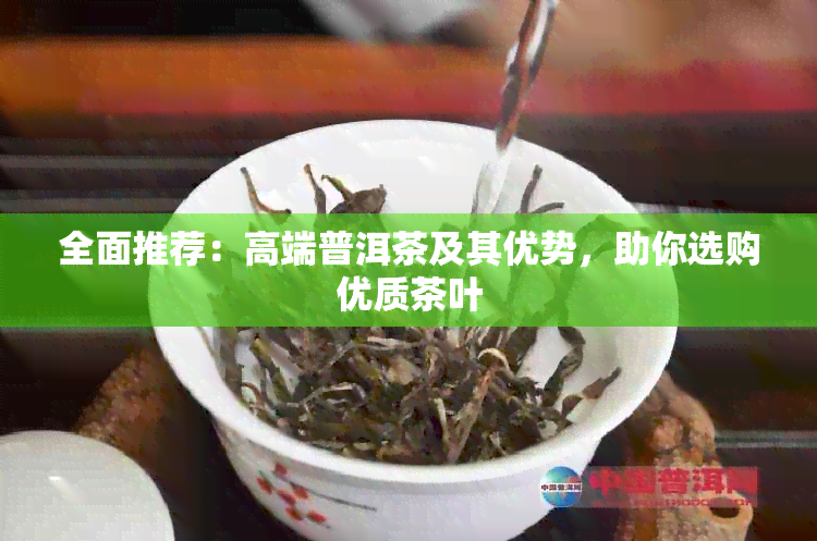 全面推荐：高端普洱茶及其优势，助你选购优质茶叶