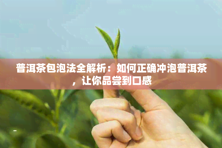 普洱茶包泡法全解析：如何正确冲泡普洱茶，让你品尝到口感