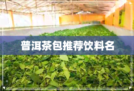 普洱茶包推荐饮料名