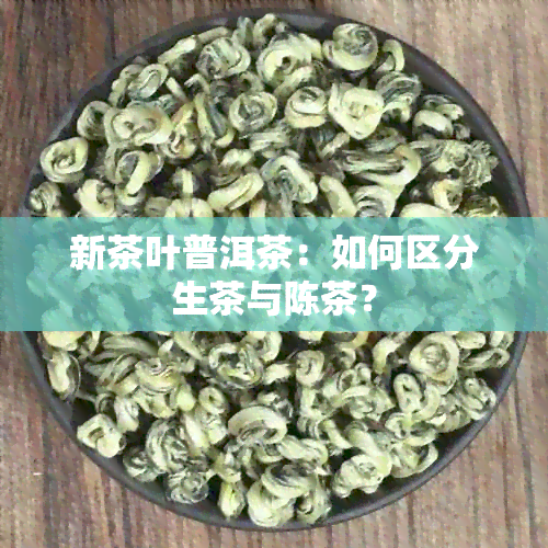 新茶叶普洱茶：如何区分生茶与陈茶？