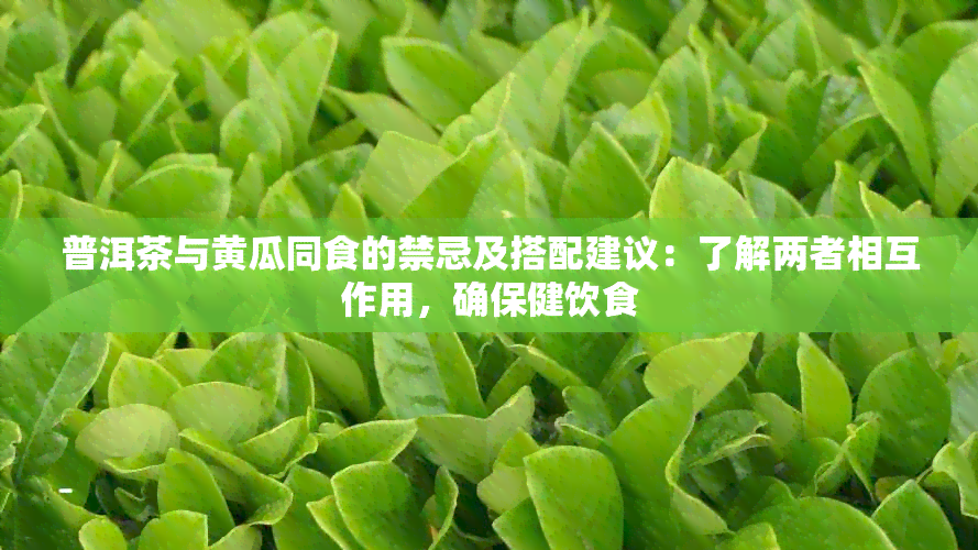 普洱茶与黄瓜同食的禁忌及搭配建议：了解两者相互作用，确保健饮食