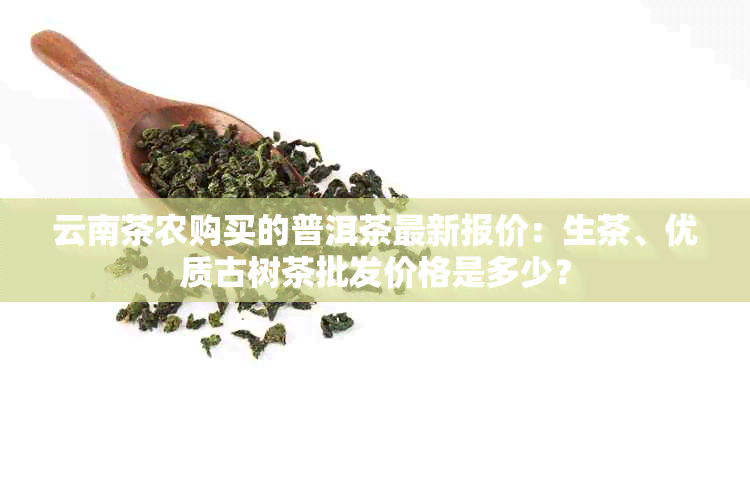 云南茶农购买的普洱茶最新报价：生茶、优质古树茶批发价格是多少？