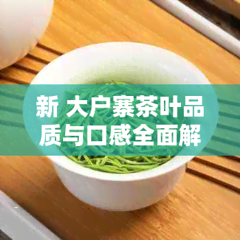 新 大户寨茶叶品质与口感全面解析，为你挑选最适合的茶品