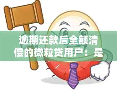 逾期还款后全额清偿的微粒贷用户：是否能继续使用？再借机会如何？