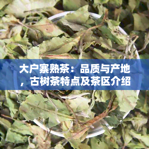 大户寨熟茶：品质与产地，古树茶特点及茶区介绍