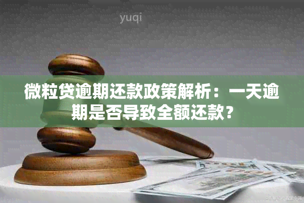 微粒贷逾期还款政策解析：一天逾期是否导致全额还款？