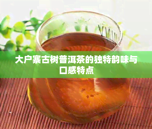 大户寨古树普洱茶的独特韵味与口感特点