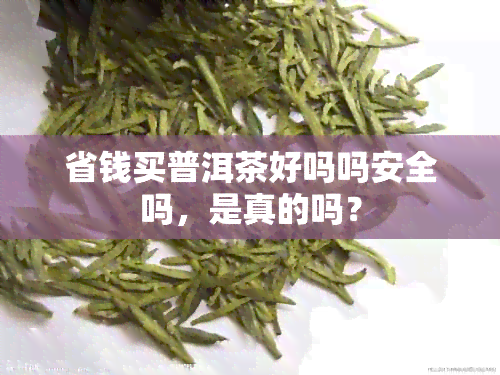 省钱买普洱茶好吗吗安全吗，是真的吗？