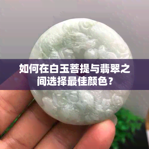 如何在白玉菩提与翡翠之间选择更佳颜色？