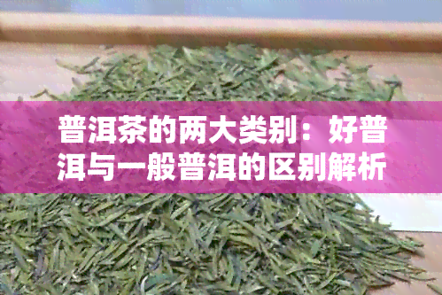 普洱茶的两大类别：好普洱与一般普洱的区别解析，助您轻松辨别高质量茶叶