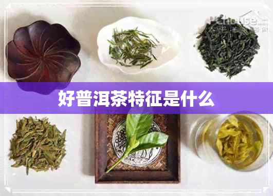 好普洱茶特征是什么