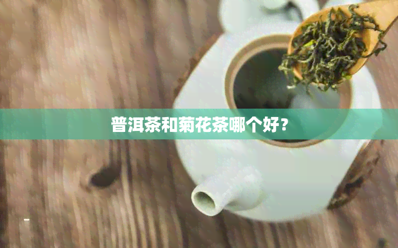 普洱茶和菊花茶哪个好？