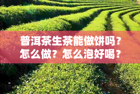 普洱茶生茶能做饼吗？怎么做？怎么泡好喝？