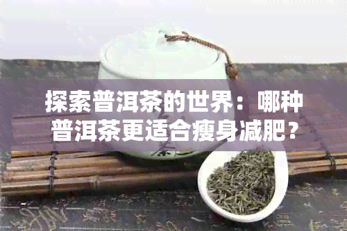 探索普洱茶的世界：哪种普洱茶更适合瘦身减肥？