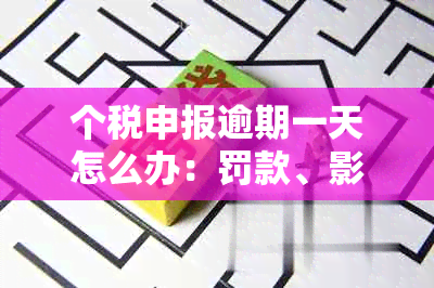 个税申报逾期一天怎么办：罚款、影响信用等，及时办理！