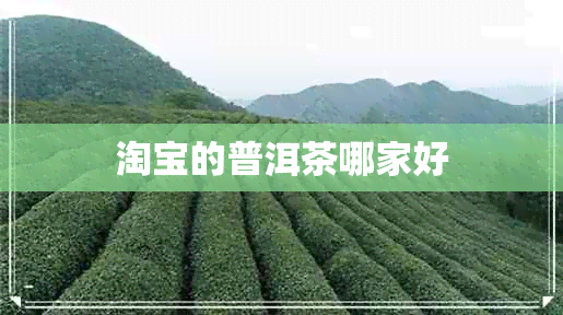 淘宝的普洱茶哪家好