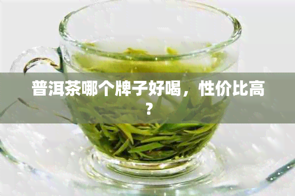 普洱茶哪个牌子好喝，性价比高？