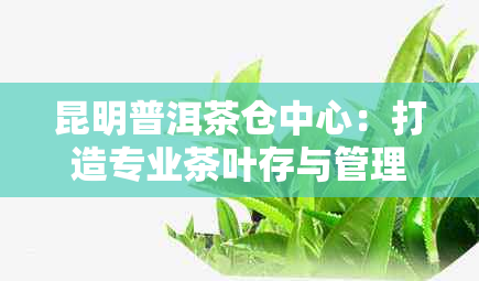 昆明普洱茶仓中心：打造专业茶叶存与管理服务