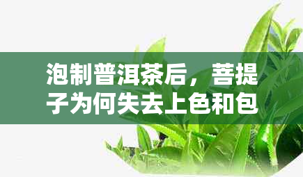 泡制普洱茶后，菩提子为何失去上色和包浆现象的探究