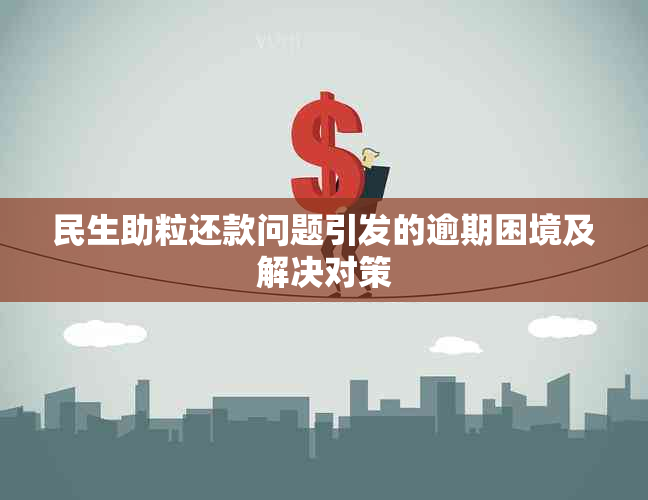 民生助粒还款问题引发的逾期困境及解决对策