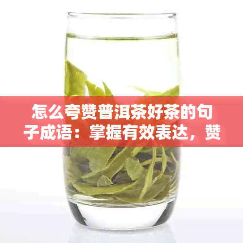 怎么夸赞普洱茶好茶的句子成语：掌握有效表达，赞美普洱茶之妙