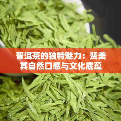 普洱茶的独特魅力：赞美其自然口感与文化底蕴