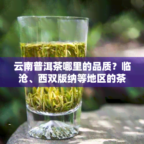 云南普洱茶哪里的品质？临沧、西双版纳等地区的茶叶受到推荐