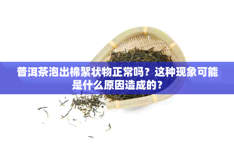 普洱茶泡出棉絮状物正常吗？这种现象可能是什么原因造成的？