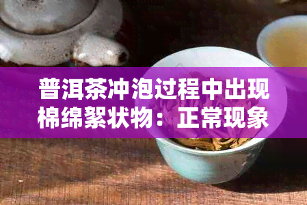 普洱茶冲泡过程中出现棉绵絮状物：正常现象还是存在问题？