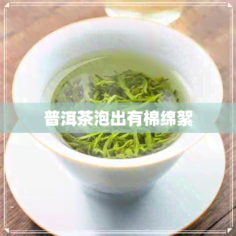 普洱茶泡出有棉绵絮