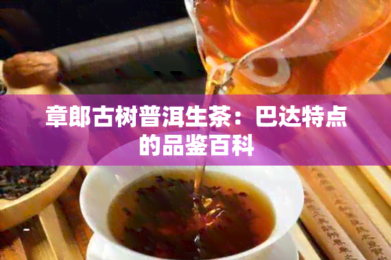 章郎古树普洱生茶：巴达特点的品鉴百科