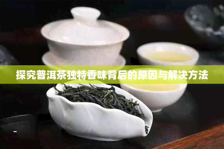 探究普洱茶独特香味背后的原因与解决方法