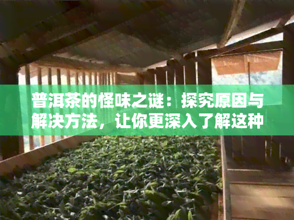 普洱茶的怪味之谜：探究原因与解决方法，让你更深入了解这种中国名茶